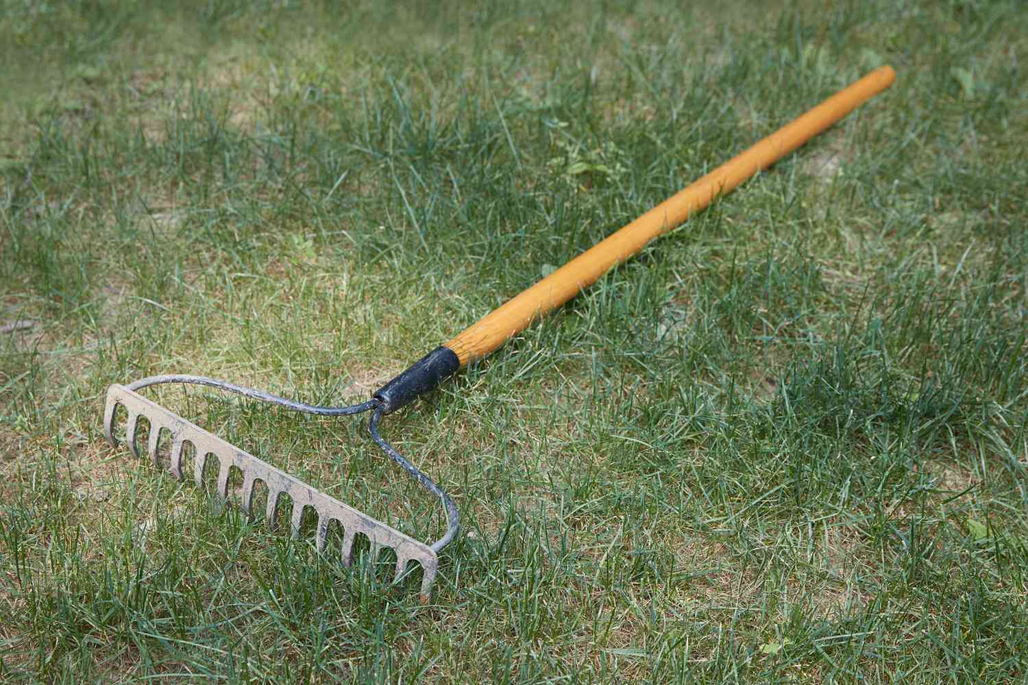 Harke mit Holzstiel liegt auf Gras