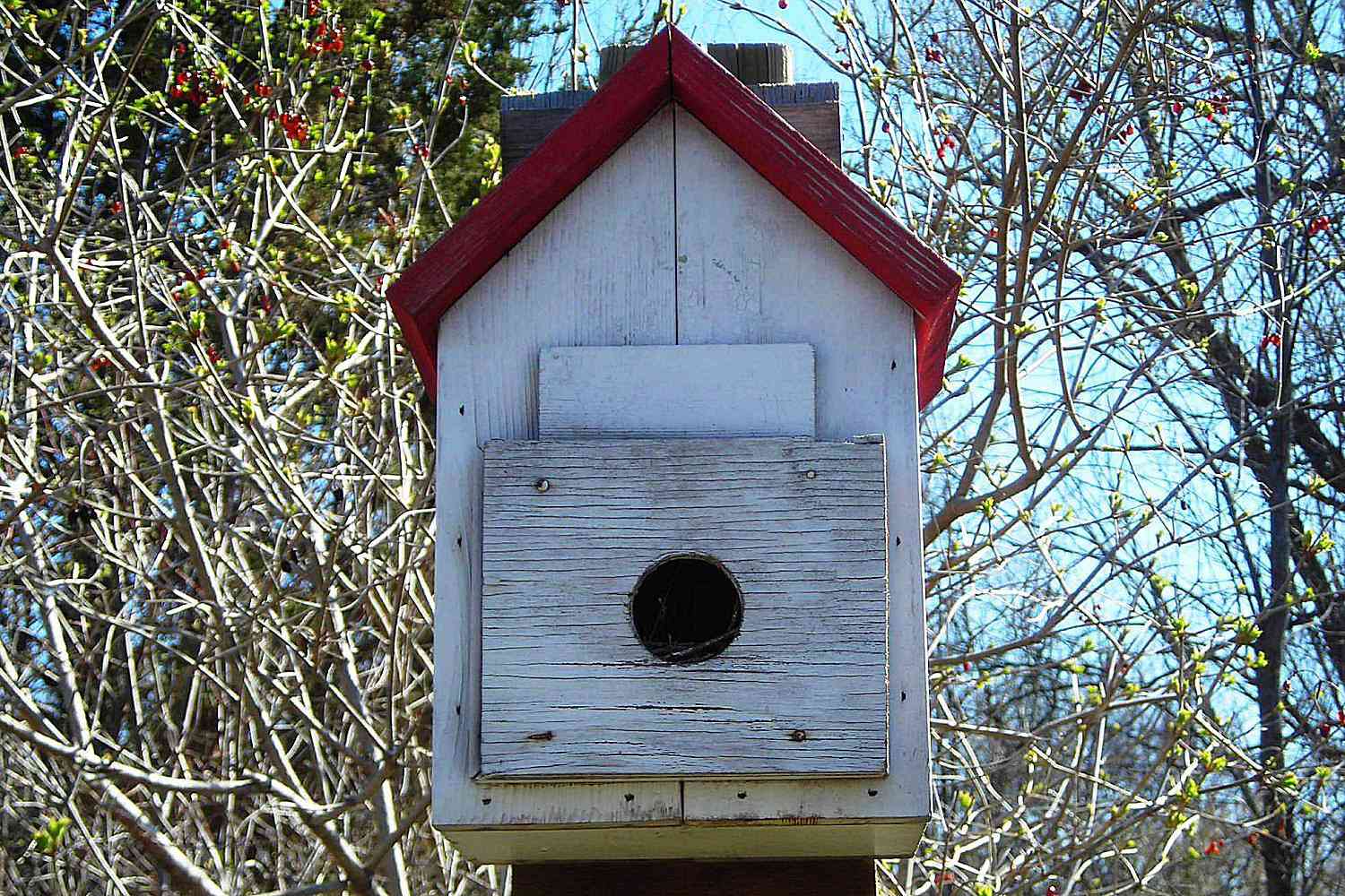 Caja dormidero para aves cerca de árboles.