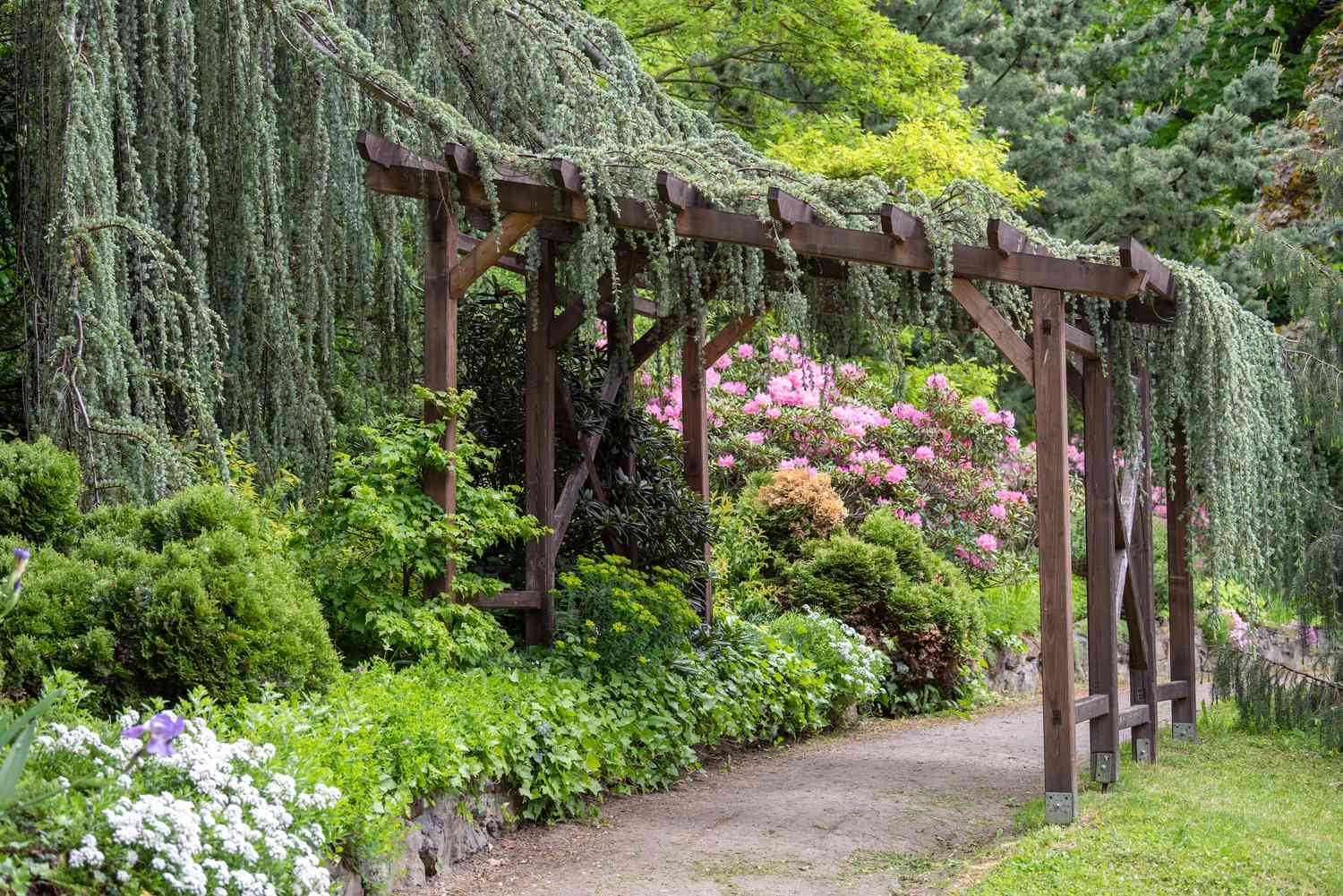 Eingangsgarten mit hölzerner Pergola, bedeckt mit langen Ästen