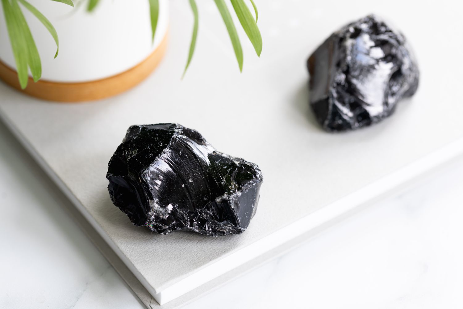 Stücke von schwarzem Obsidian neben einer Pflanze