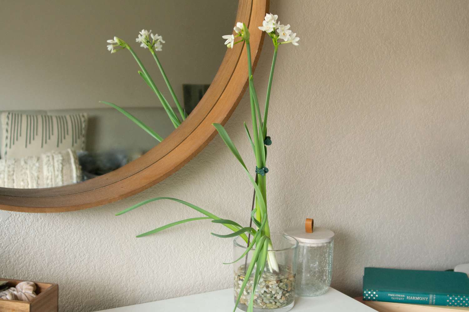 Narciso blanco con pequeñas flores blancas en interior