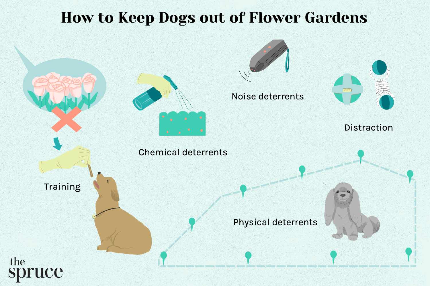 Wie man Hunde aus Blumengärten fernhält