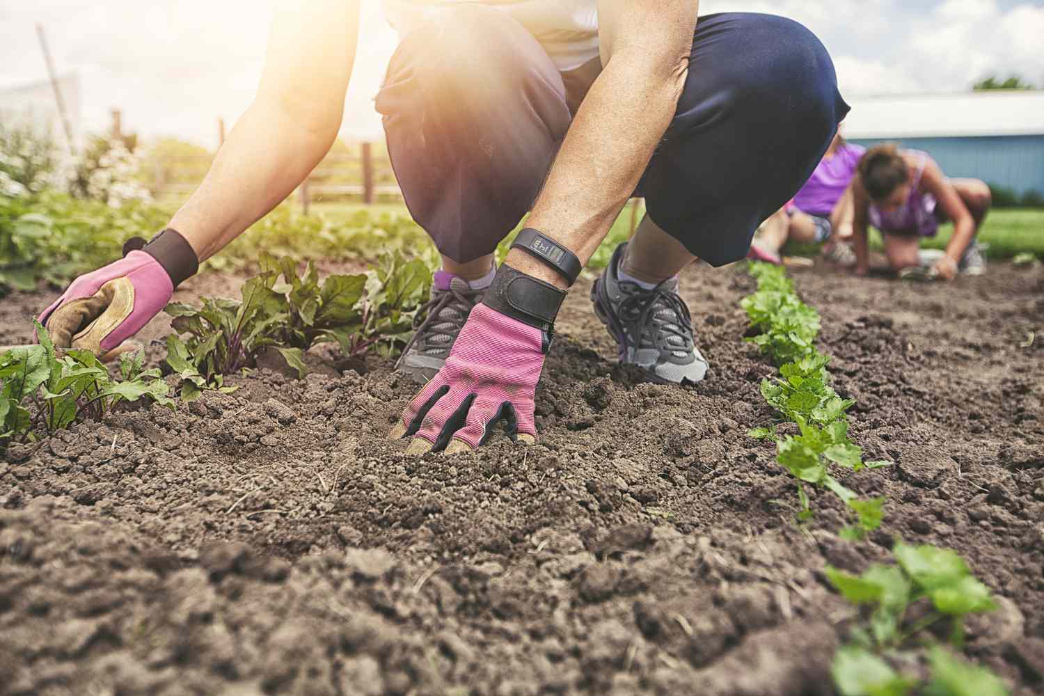 Gärtner mit rosa Handschuhen in einem Garten