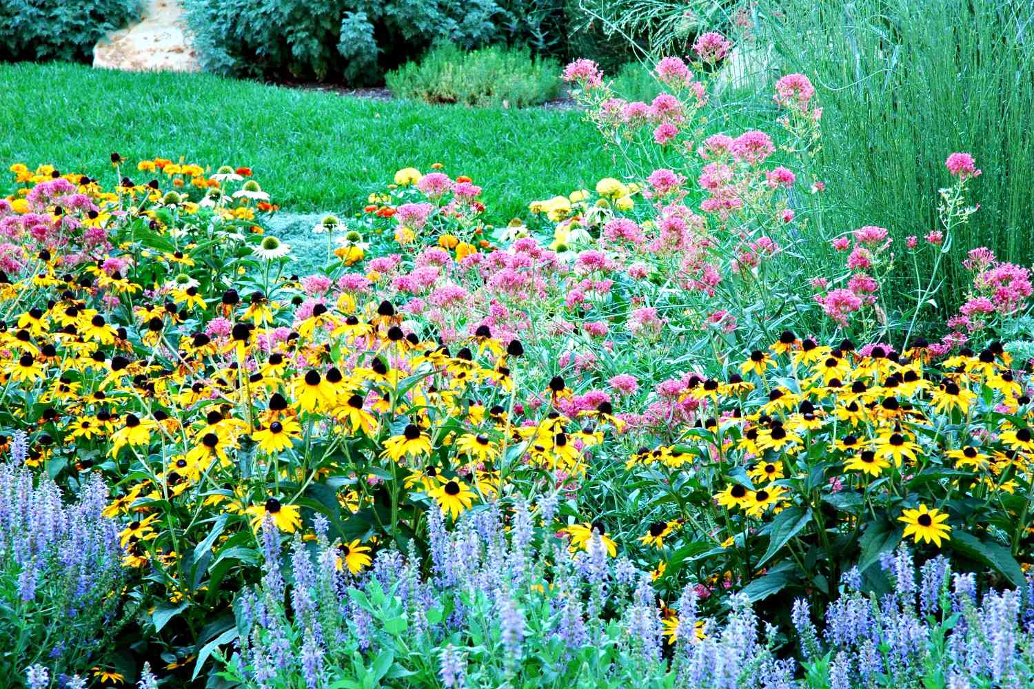 campo de flores