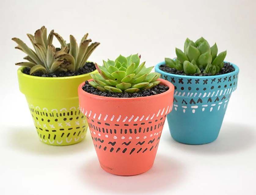 Colorful clay pots holding succulents