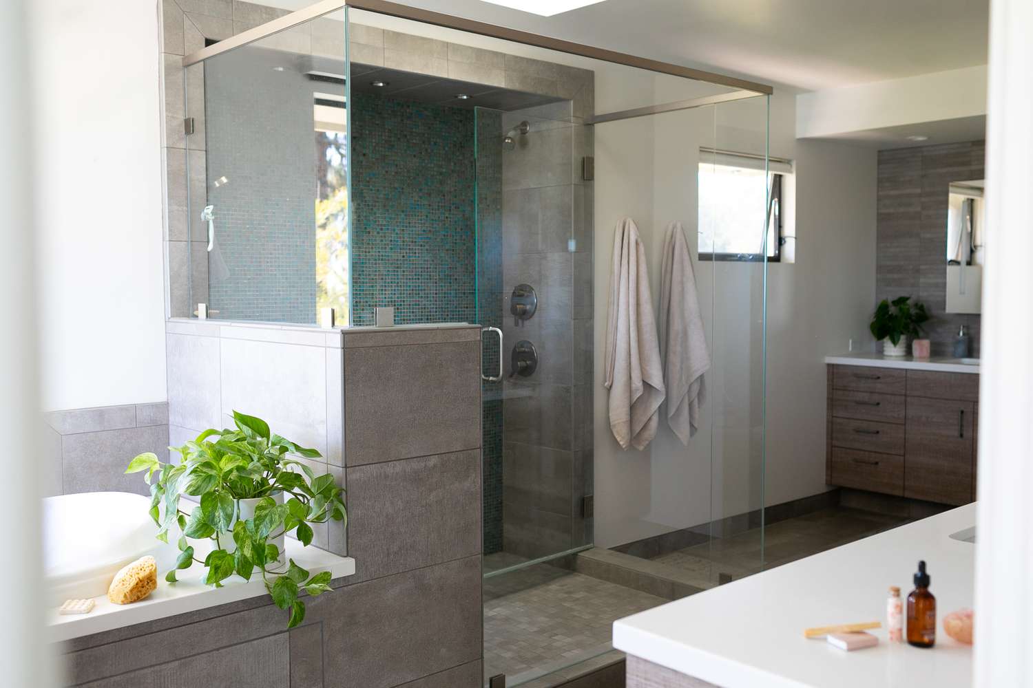 Baño de invitados con puertas de cristal, planta de interior cerca de la bañera y artículos de decoración en los mostradores