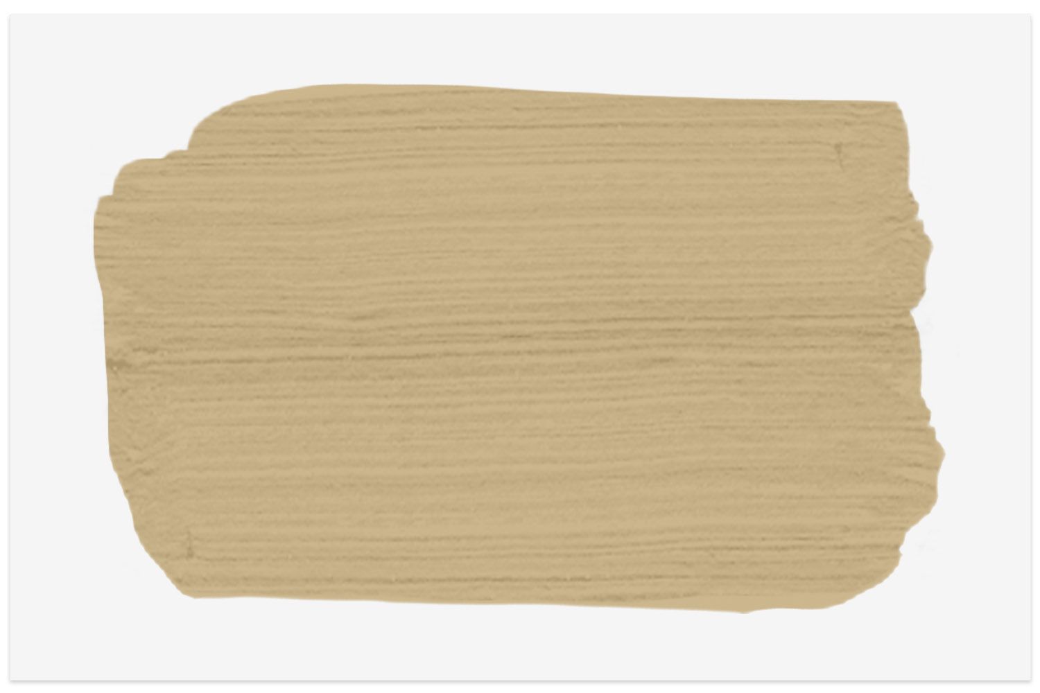 Shelburne Buff Farbmuster von Benjamin Moore 