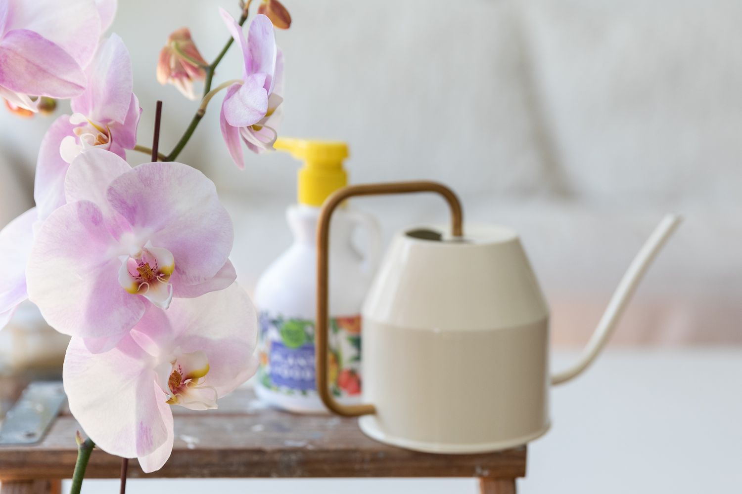 Orquídea blanca y rosa cerca del abono 