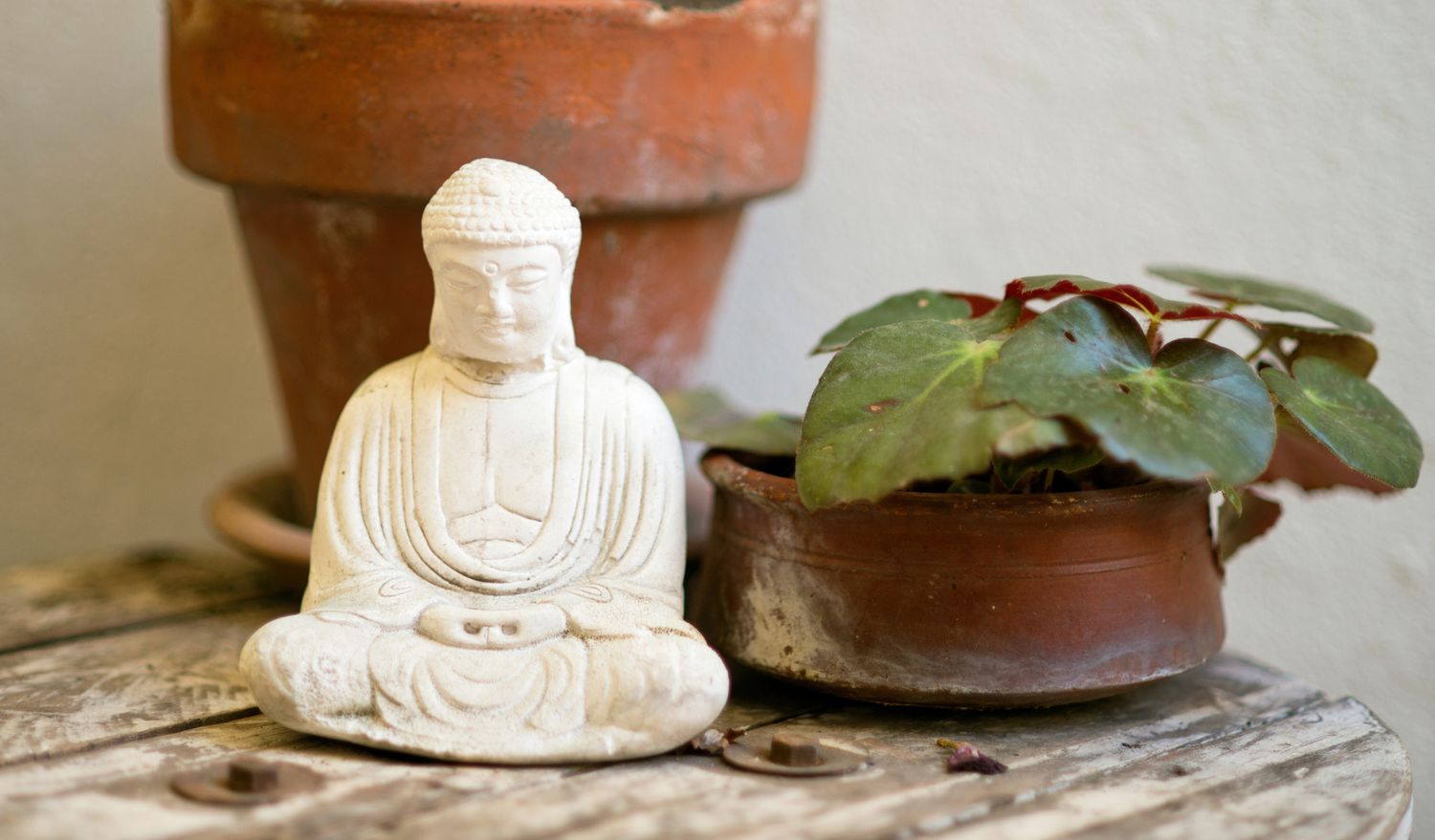 Estátua de Buda e planta em uma mesa