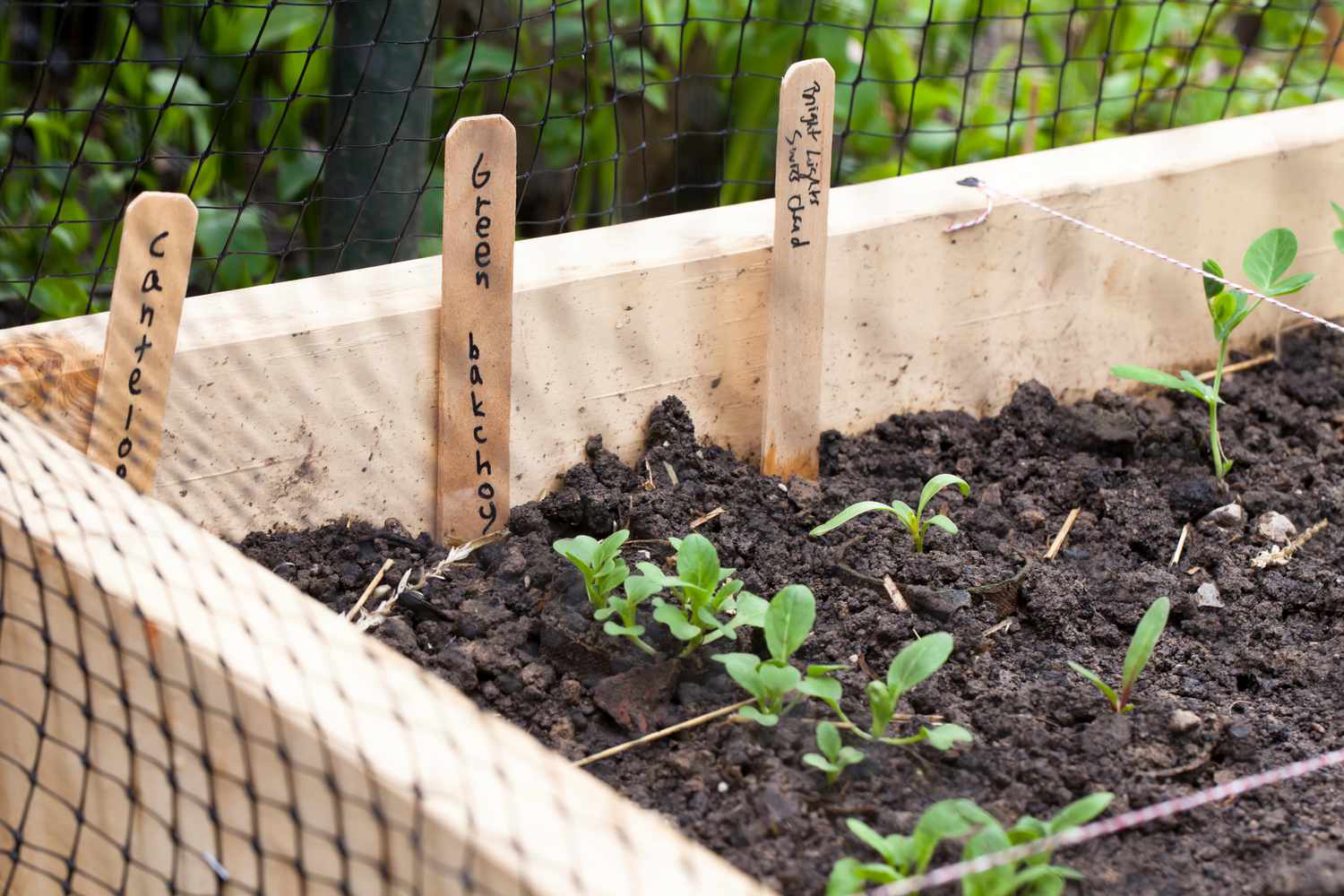 ein erhöhtes Gartenbeet