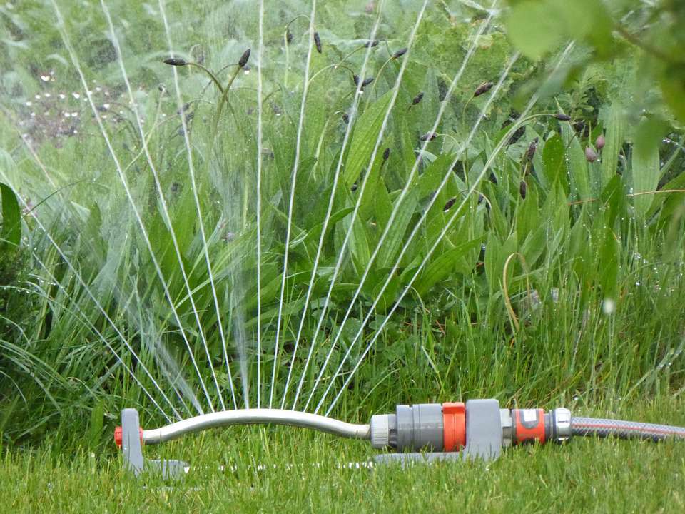 Sprinkler Bewässerung Rasen