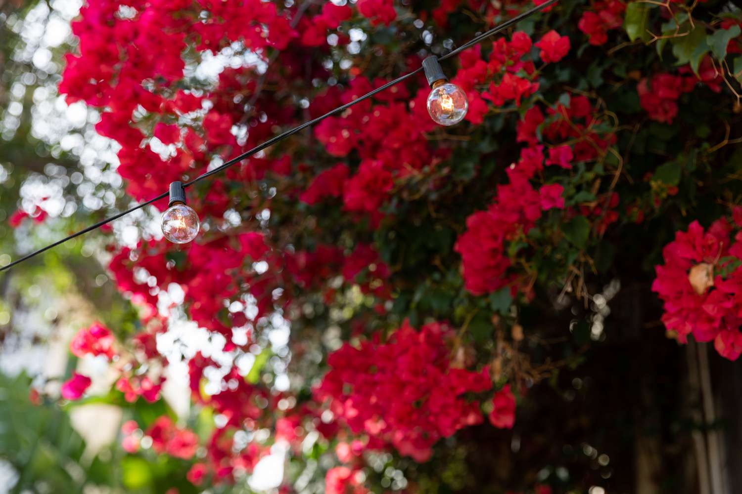 luces de cuerda al aire libre