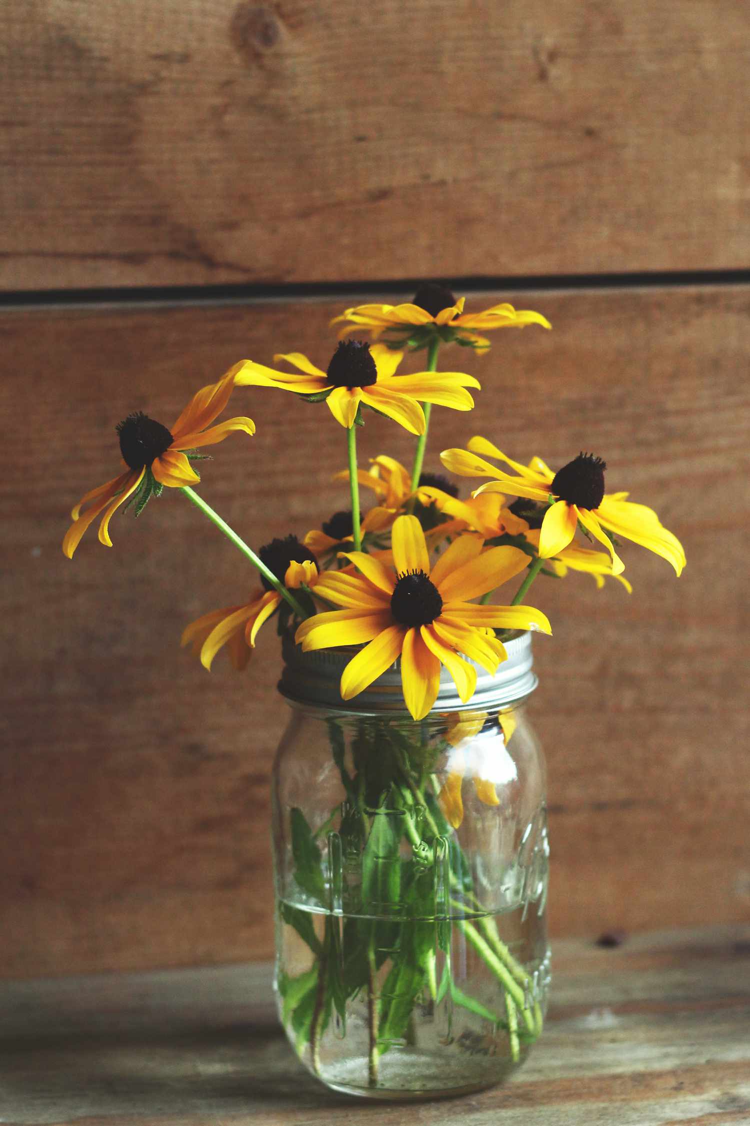 um pote de vidro cheio de flores amarelas frescas