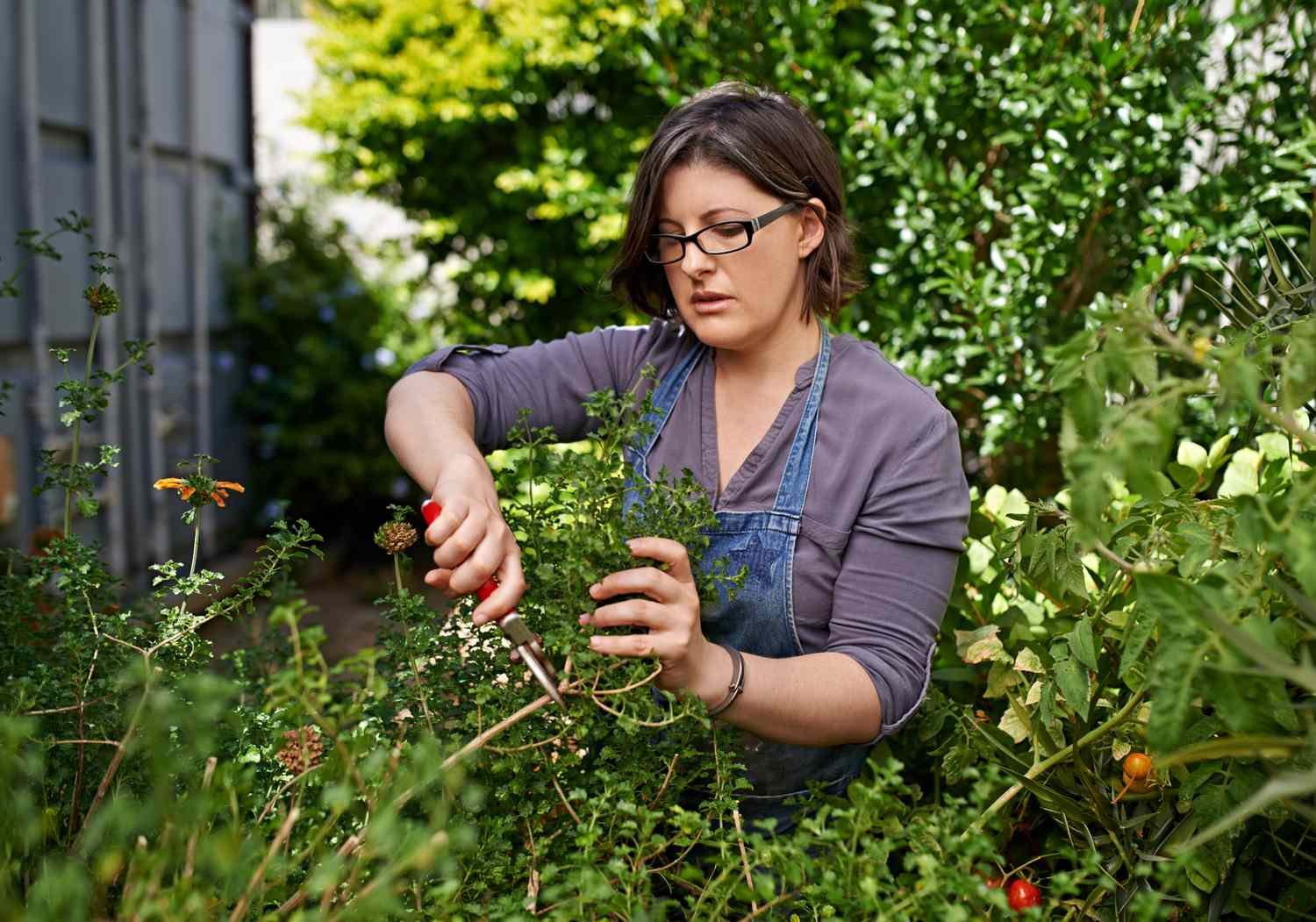 Mujer cuidando su jardín