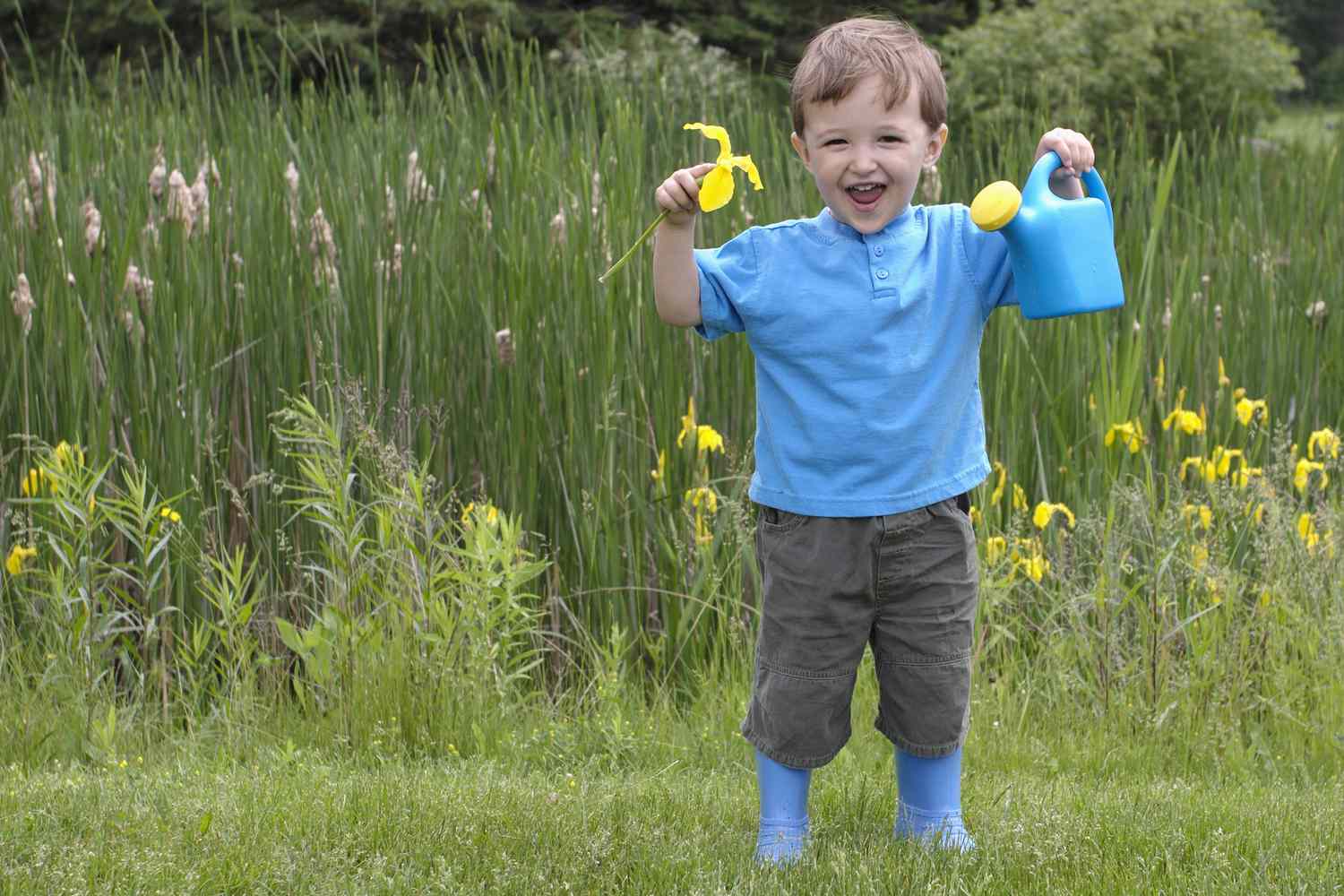 Niño con cubo azul vestido de azul con fondo de flores amarillas de bandera en pantano.