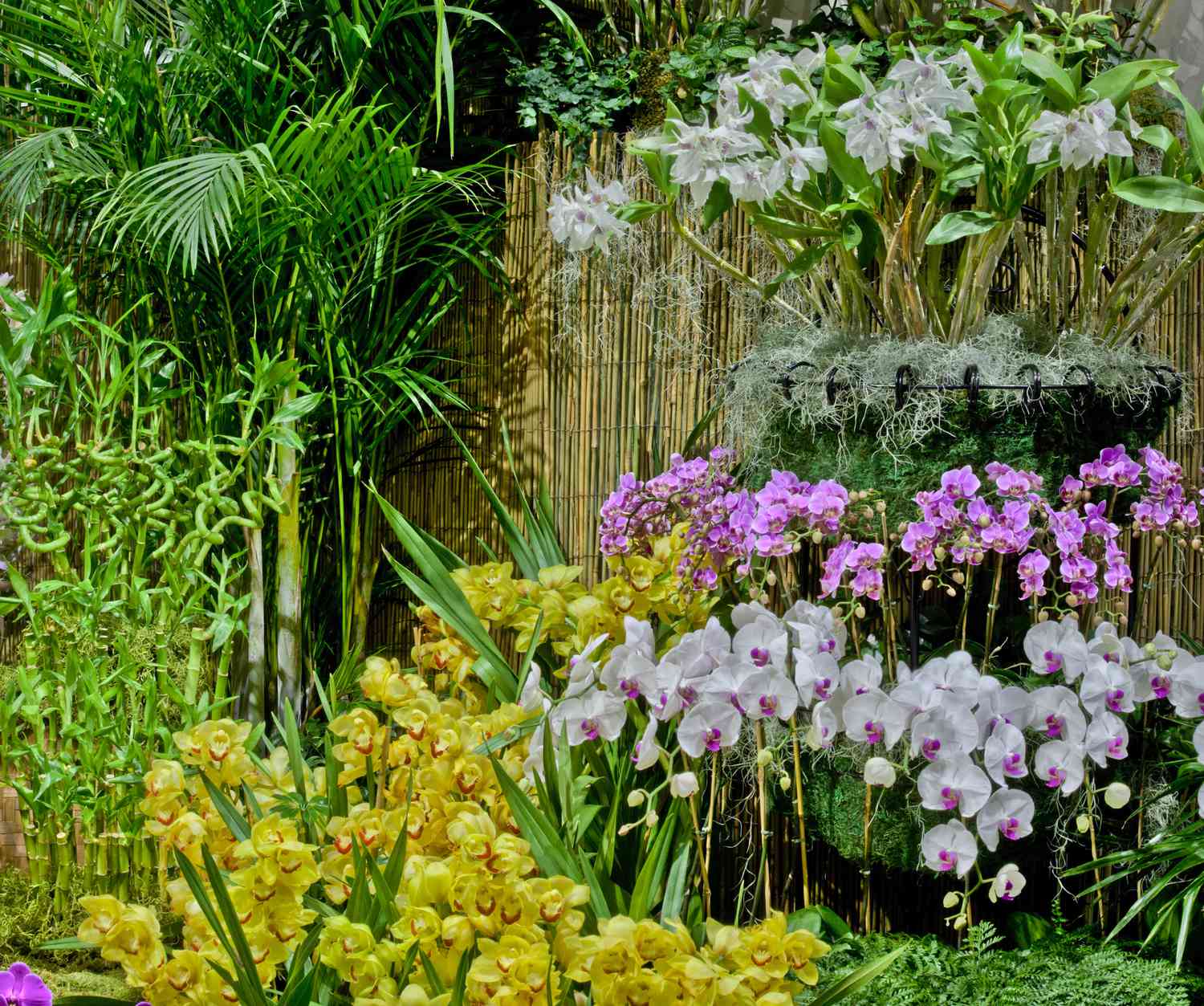 Orchideen-Kollektion für draußen