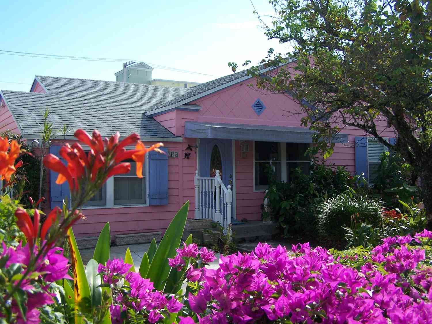 Bungalow rosa con contraventanas azules en Delray Beach, Florida