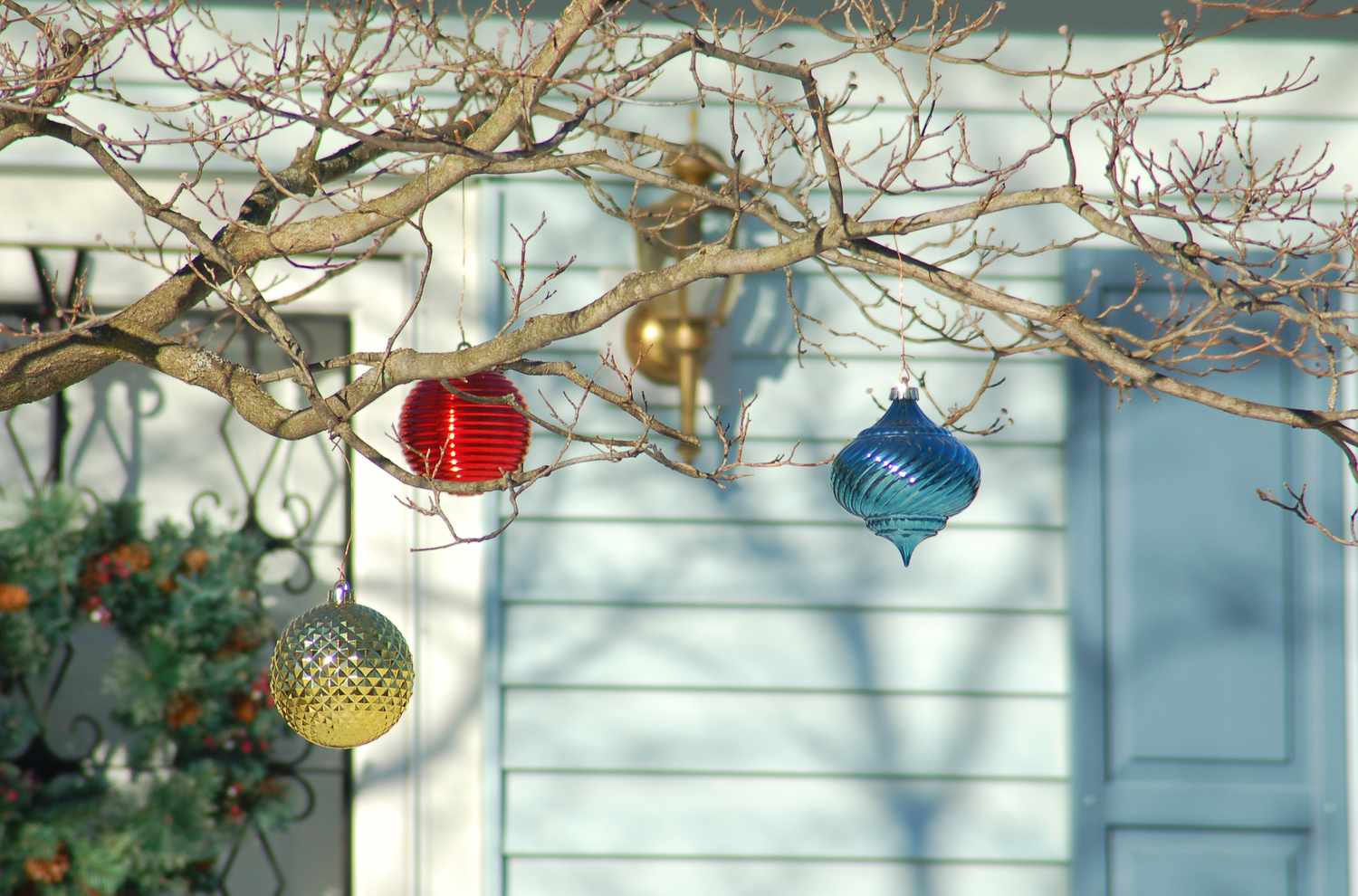 Adornos de bolas de Navidad colgando de un cornejo.