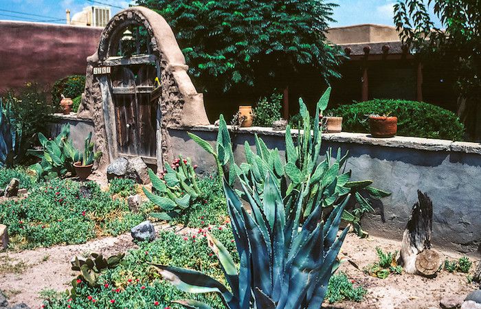 Adobe gate and wall in garden with succulents