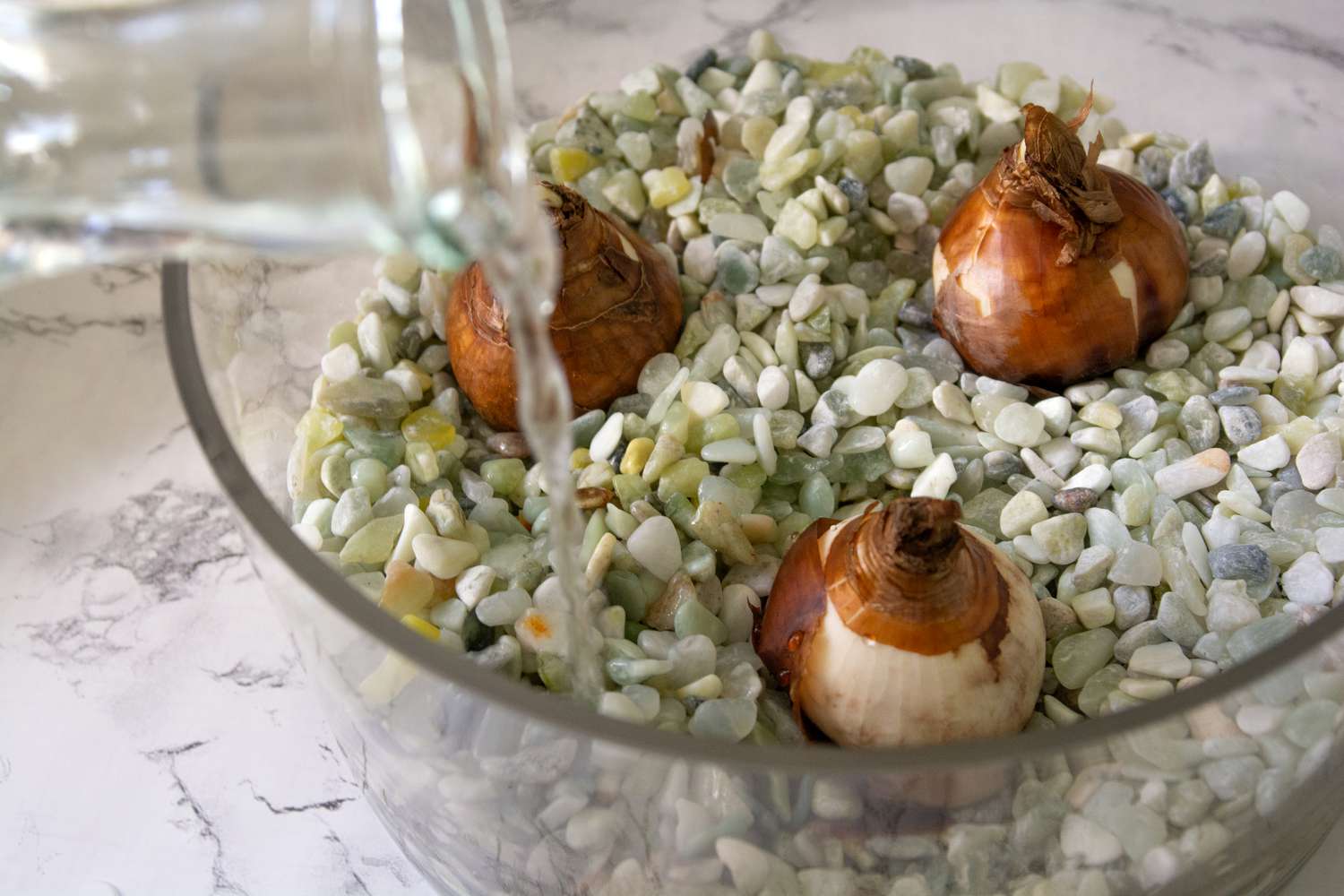 Wasser in einen Behälter mit Zwiebeln und kleinen Steinen gegossen