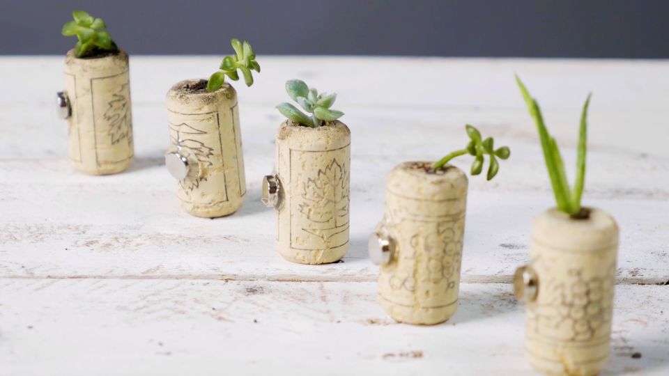 mini vasos de cortiça com pequenas plantas sobre a mesa 