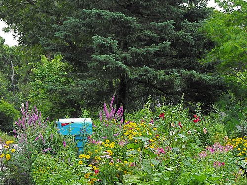 Mailbox Cottage Garden