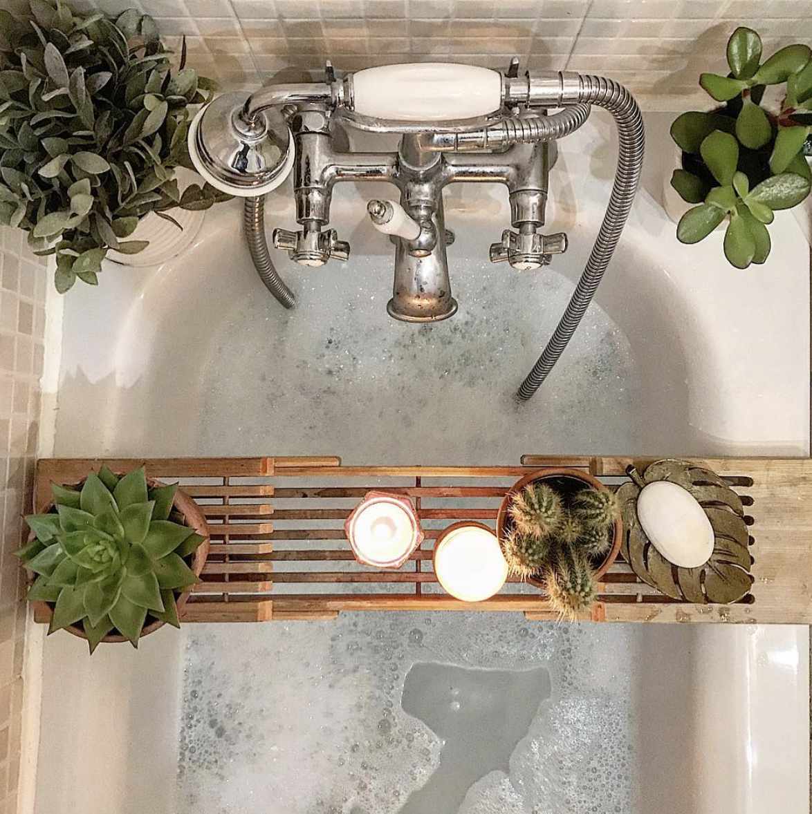 tub with plants