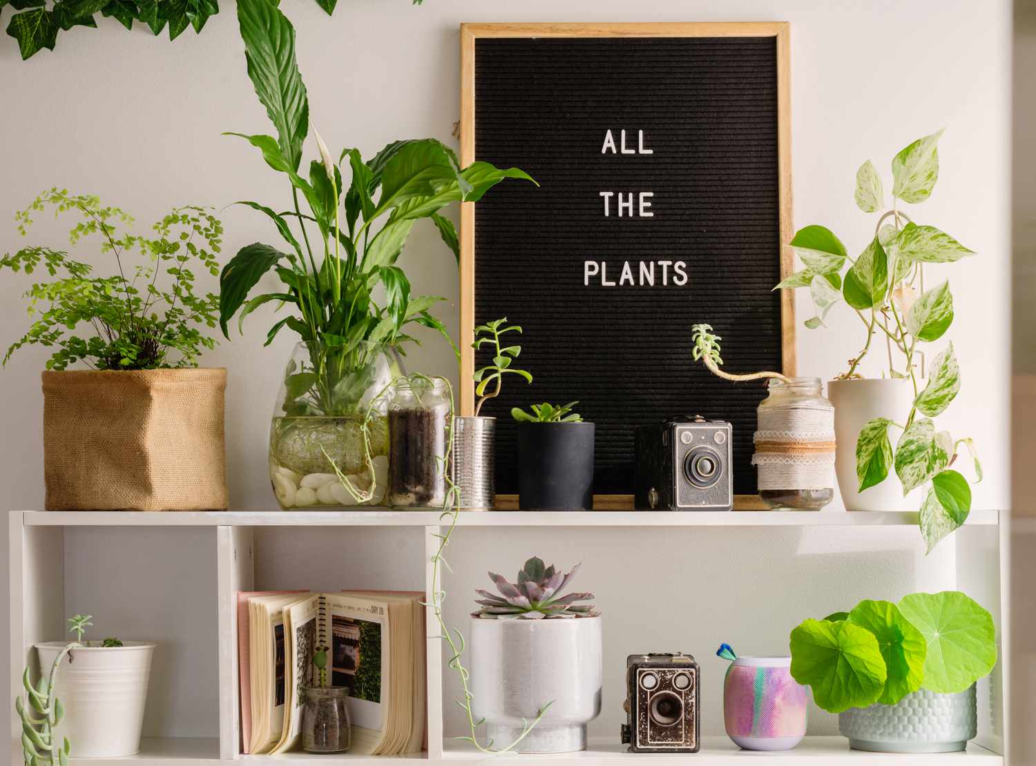 knick knacks on a shelving unit