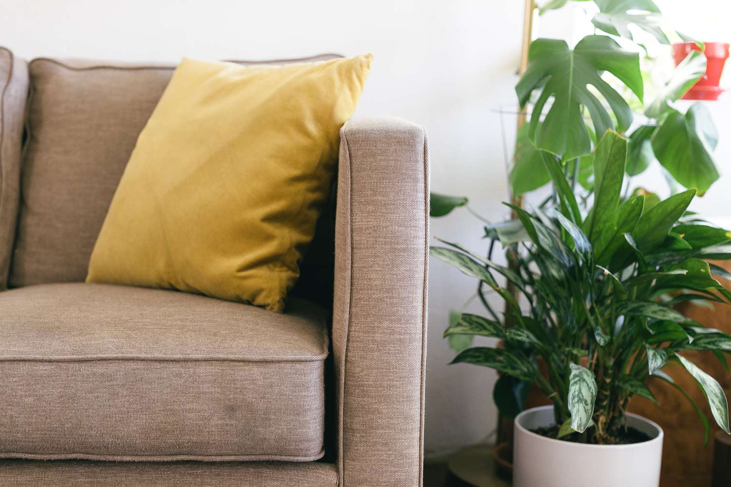 Canto de sofá bronzeado com almofada amarela e planta de casa em vaso branco em close-up