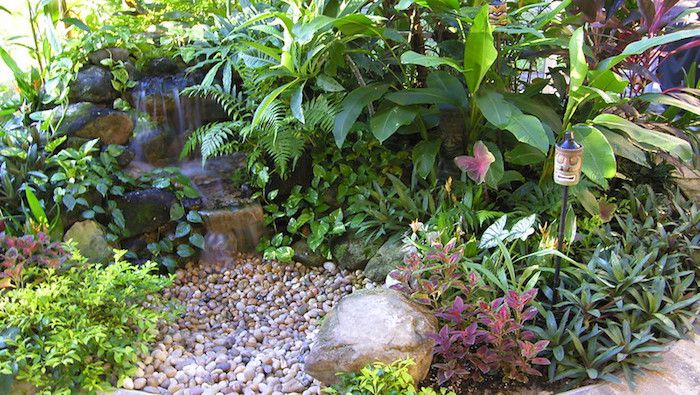 small waterfall over round rocks and tropical plants