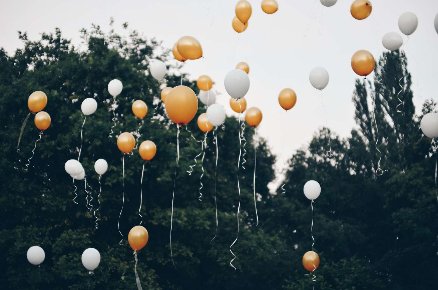 Low Angle View Of Balloons