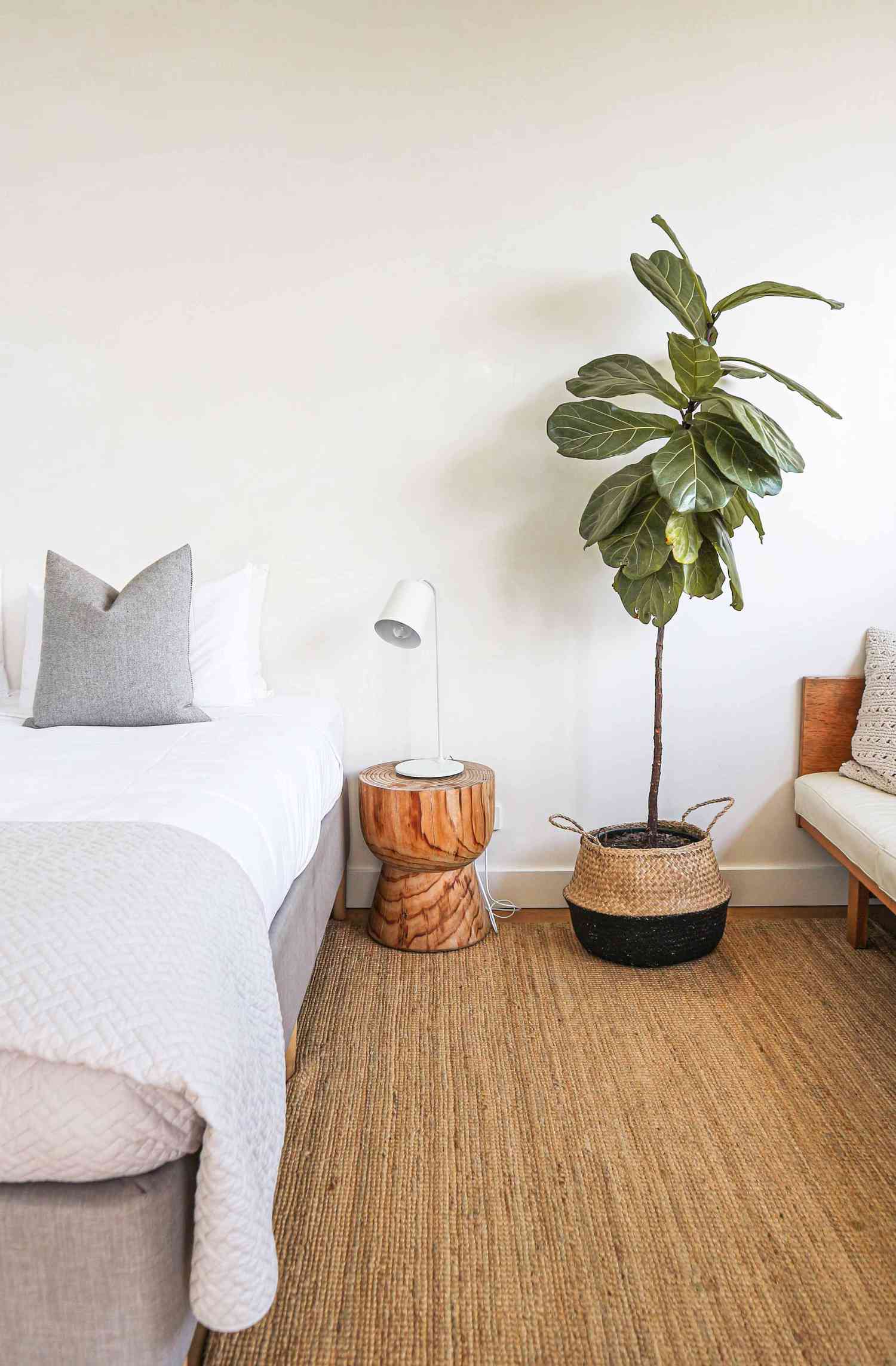 dormitorio tranquilo con alfombra marrón, ropa de cama blanca y gris, y una planta