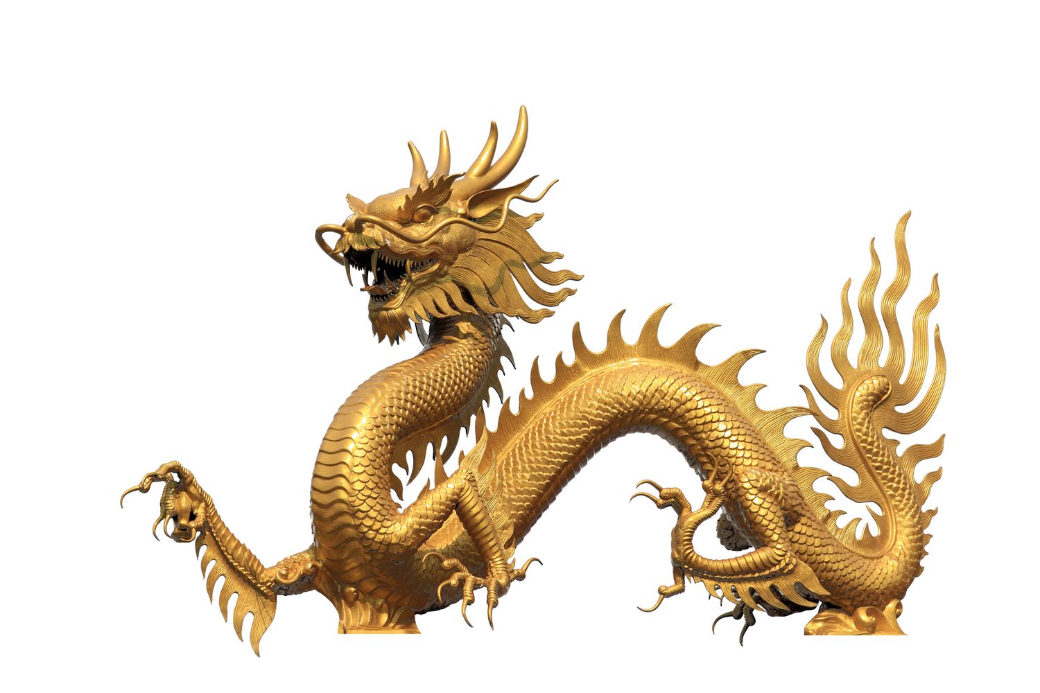 Flammender goldener chinesischer Drache auf weißem Hintergrund