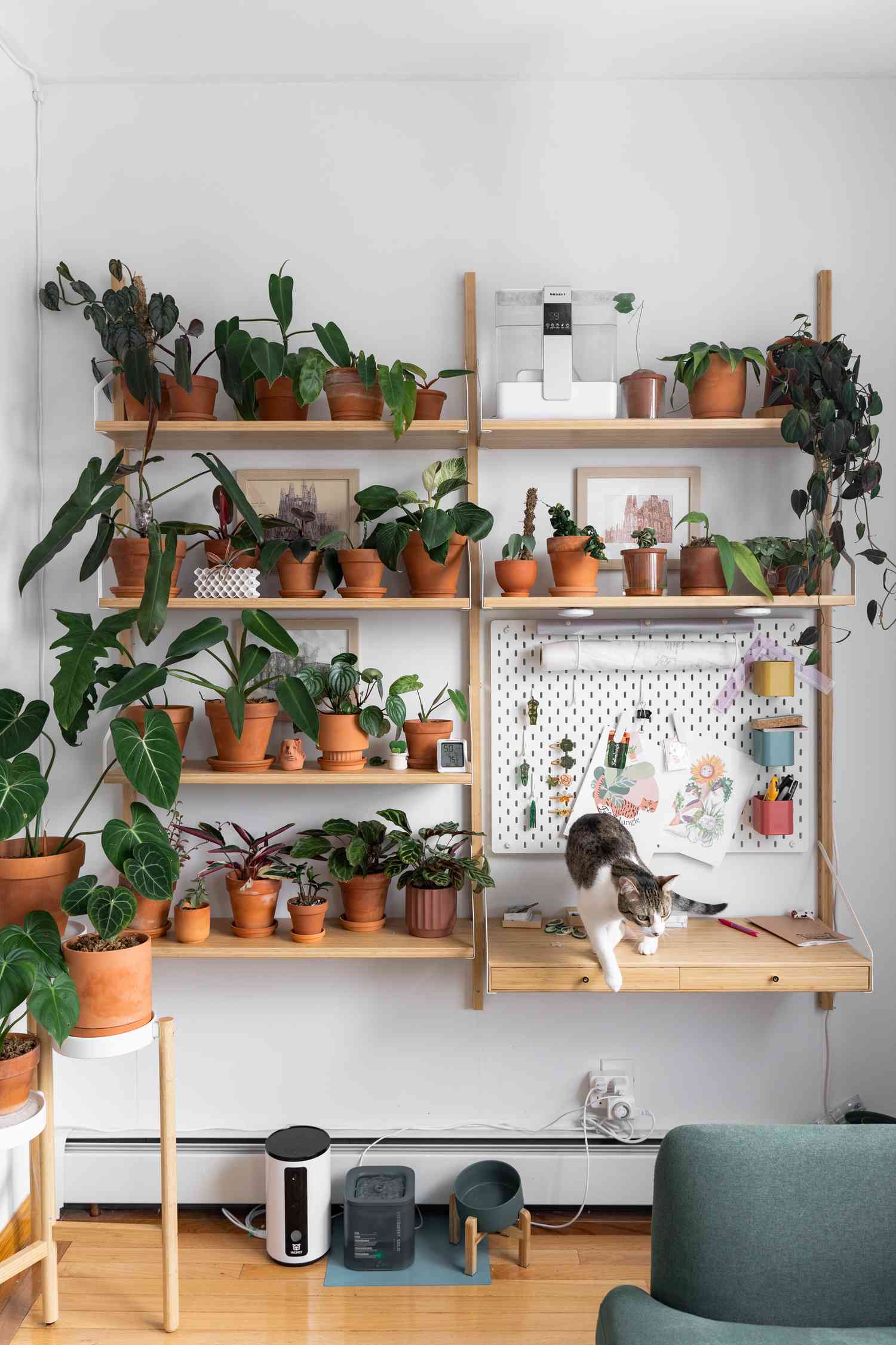 Vionna Wais Pflanzenwand in ihrem Arbeitsbereich in NYC