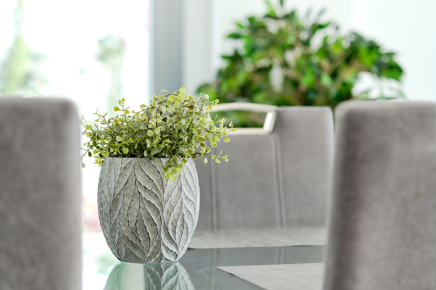 Close-up de um vaso de planta em uma mesa de vidro na sala de estar