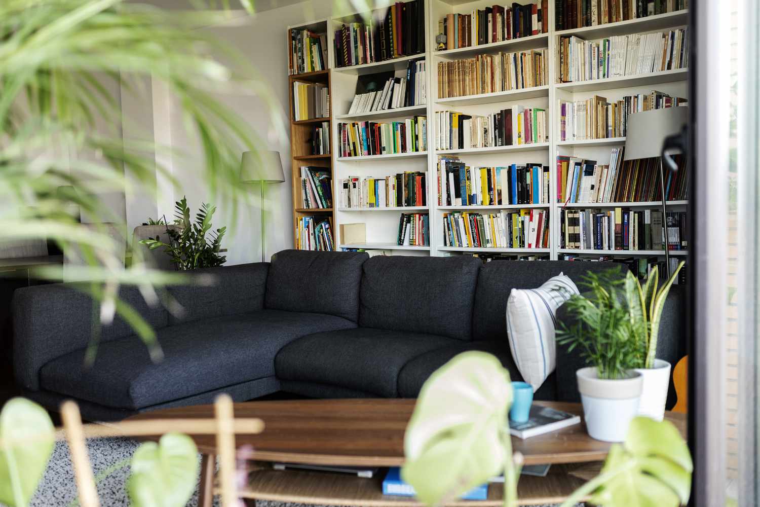 ein schickes Wohnzimmer mit einem schwarzen Sofa, Pflanzen und Bücherregalen mit Tonnen von Büchern