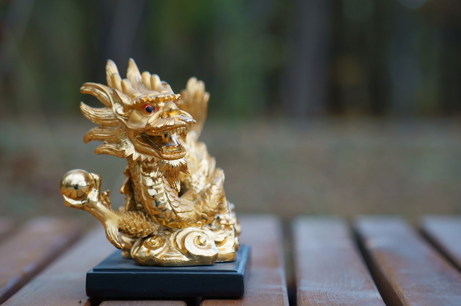 Feng Shui Drache