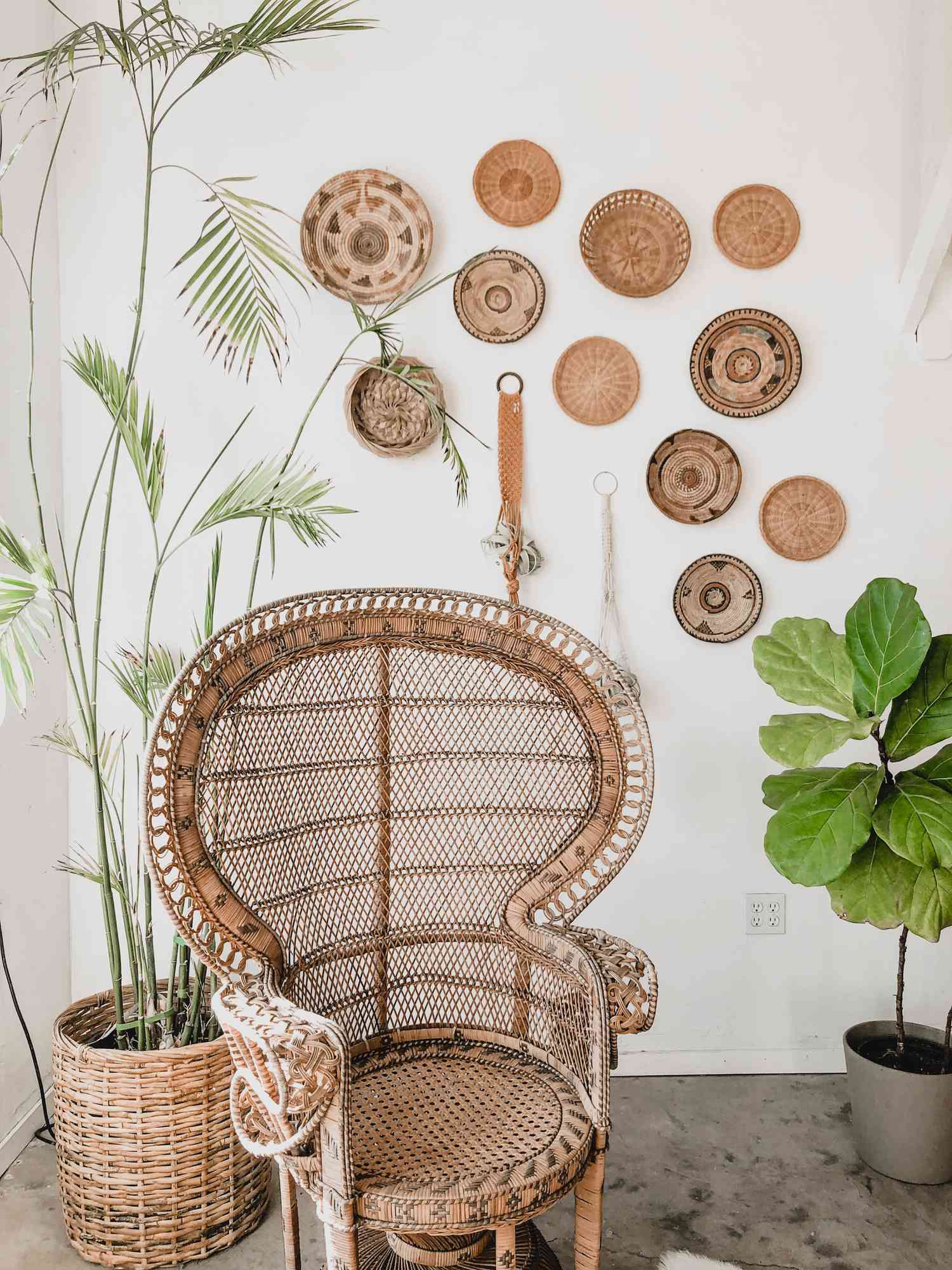 cadeira de pavão de vime marrom e outras decorações marrons com plantas verdes
