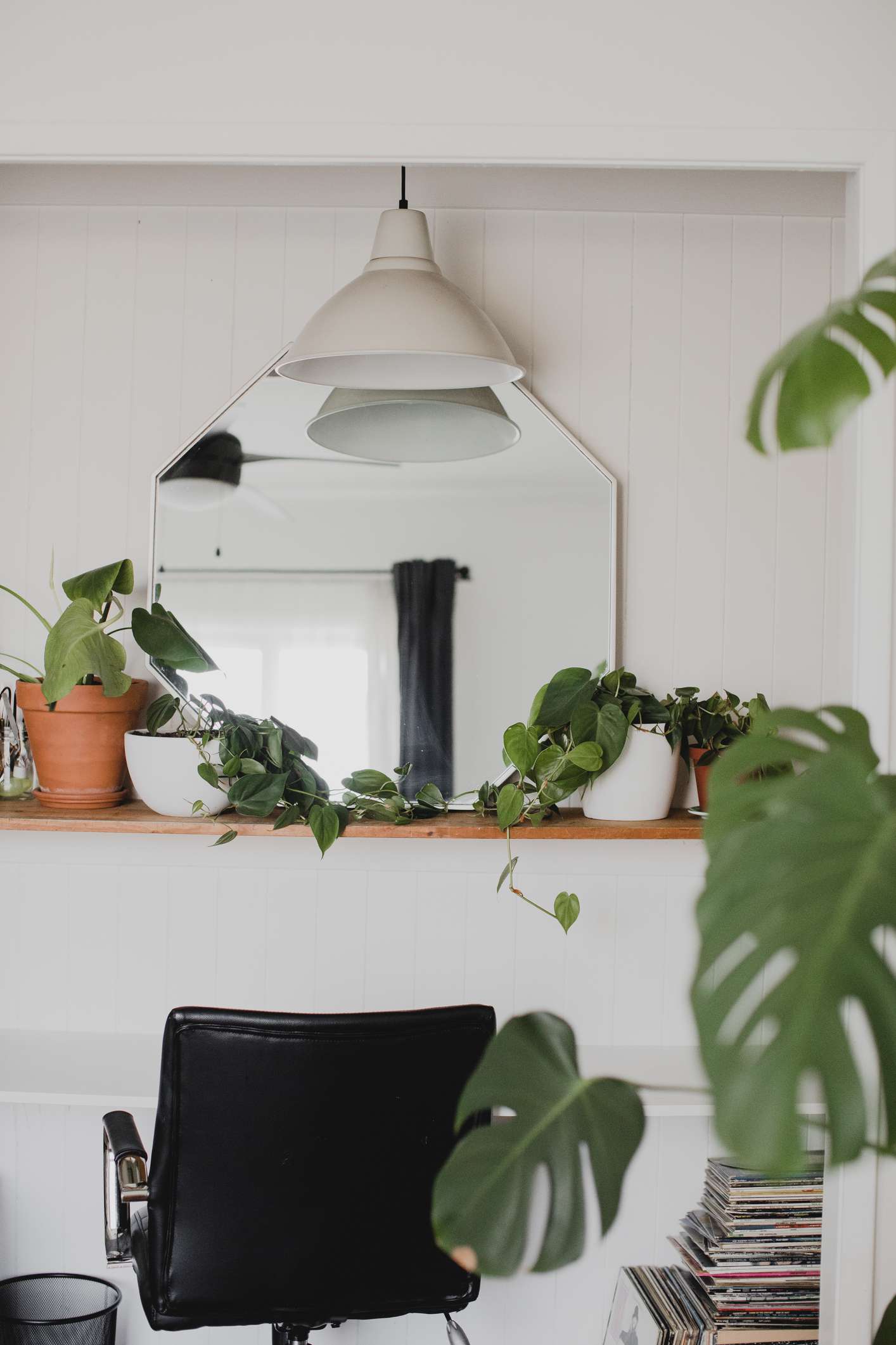 zona de despacho en casa con plantas, espejo y luz