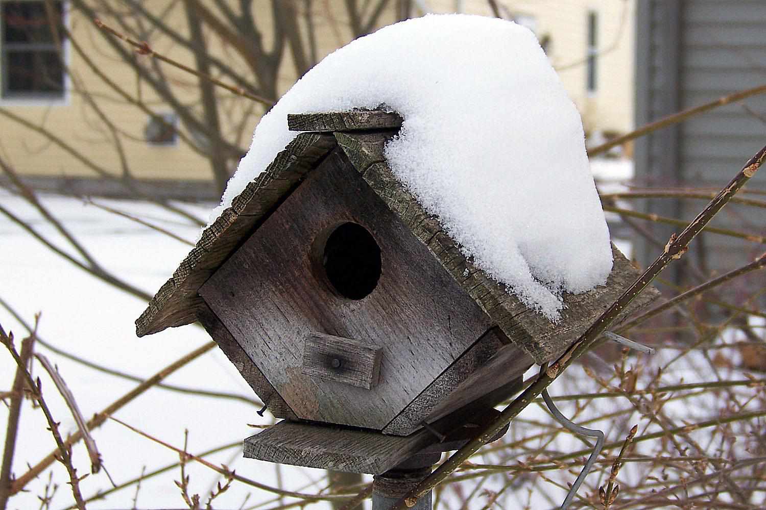 Wintervogelhaus