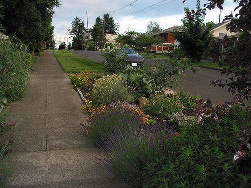 Streetside Garden