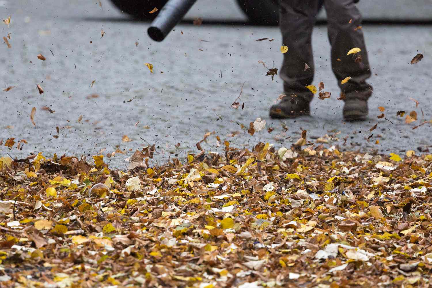 Worker using leaf blower to remove leaves from the road.