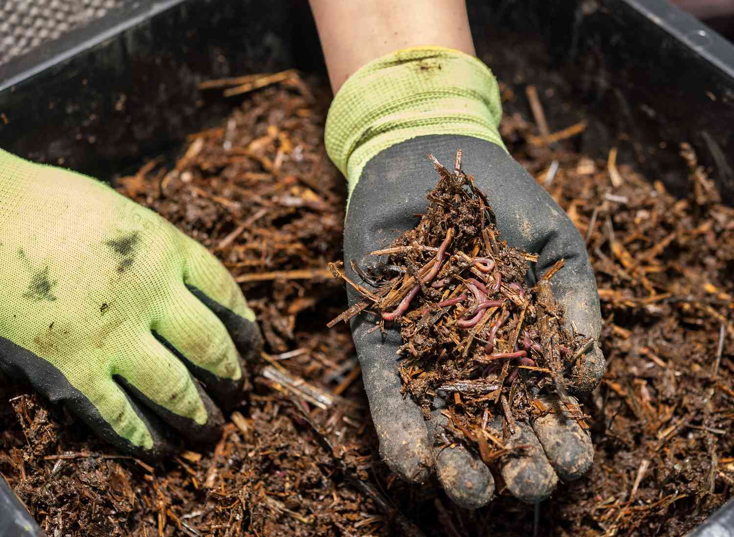 Composter avec des vers de terre