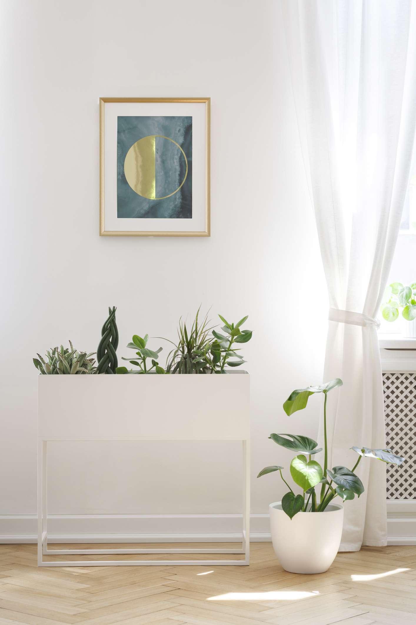 Pôster na parede branca acima das plantas no interior da sala de estar com cortinas na janela.