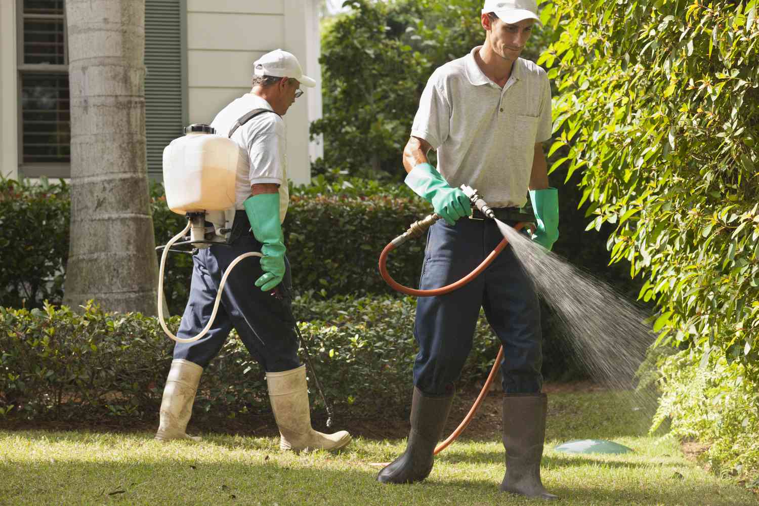 Pulverización de pesticidas en un jardín