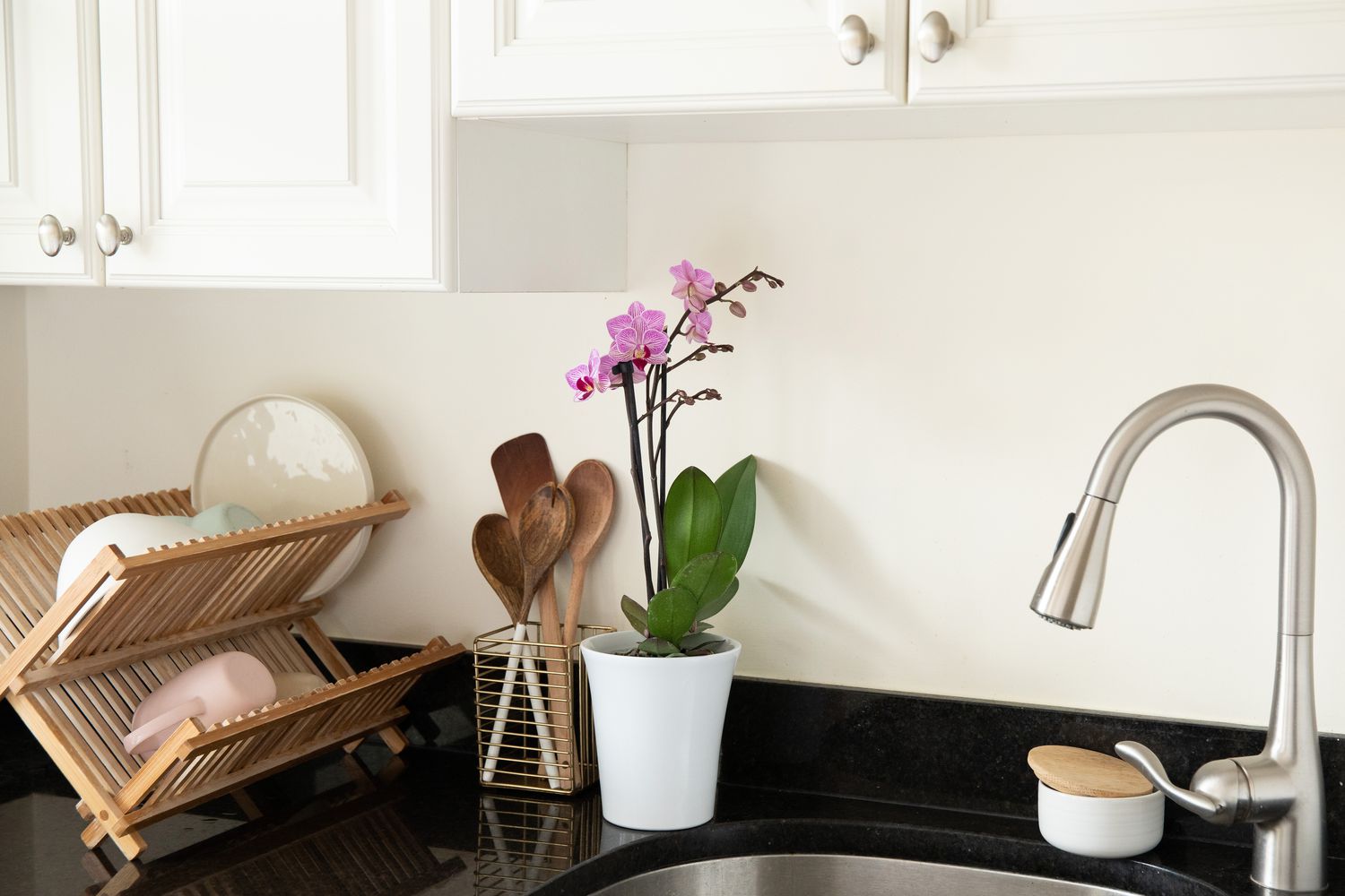 uma orquídea em um balcão de cozinha