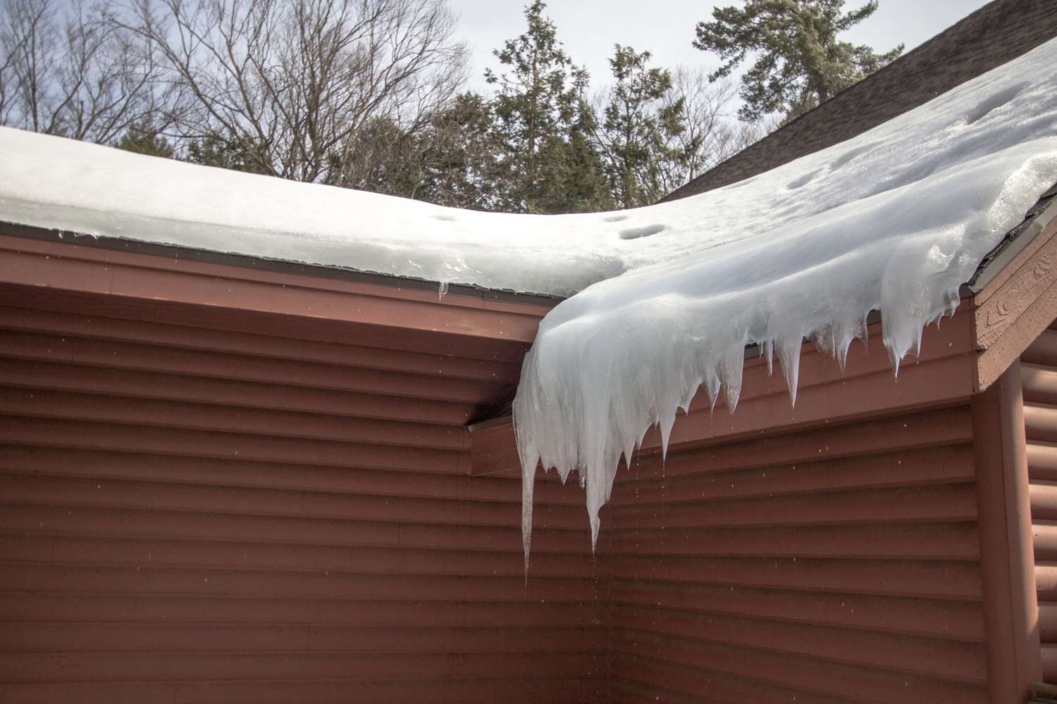 Eiszapfen hängen vom Eisdamm auf dem Hausdach mit tropfendem Wasser