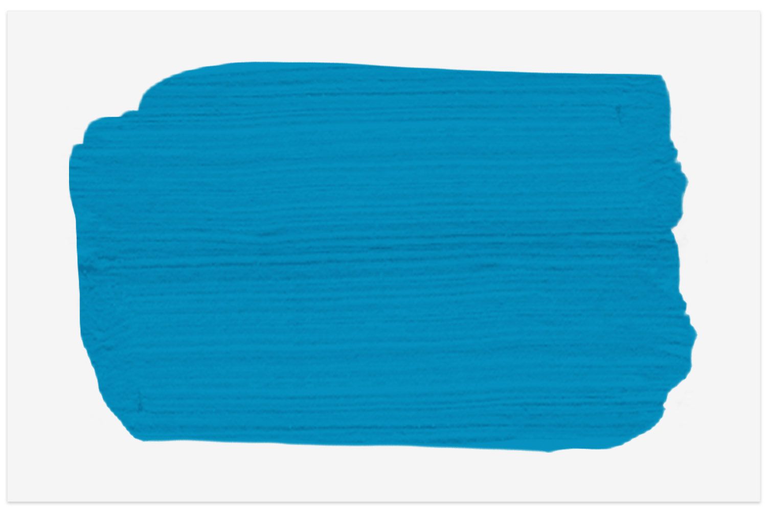 Bellflower paint swatch from PPG Paints