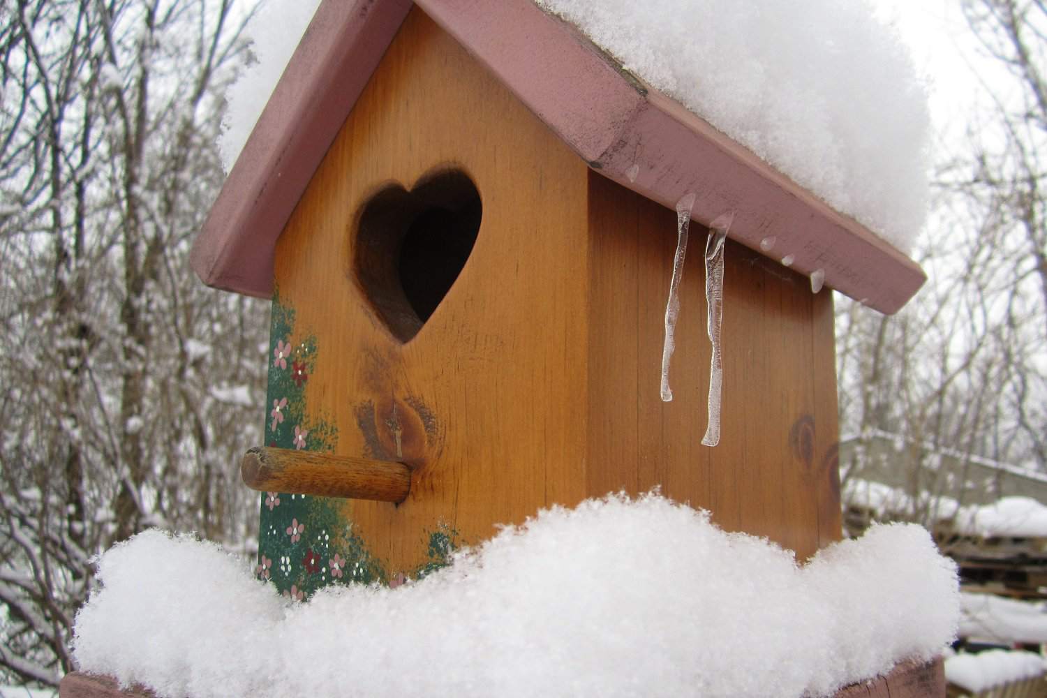 Vogelhaus im Schnee