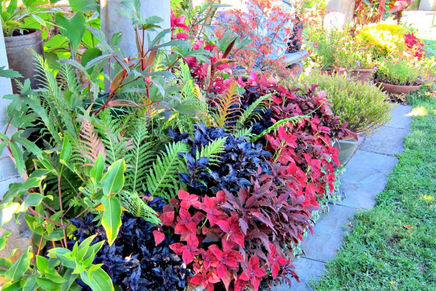 Vibrant autumn border garden